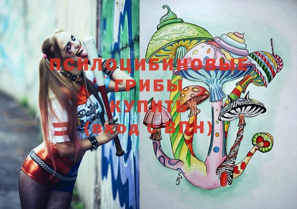 синтетический гашиш Богородицк