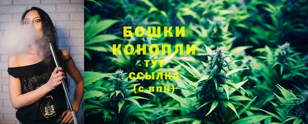 ALPHA PVP Белокуриха