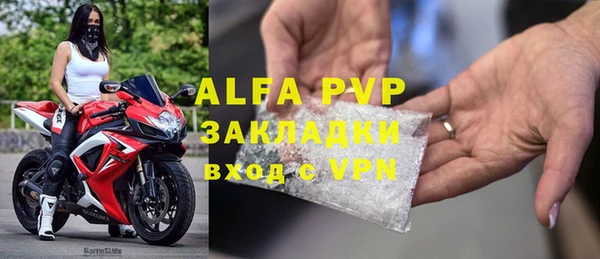 спайс Богданович