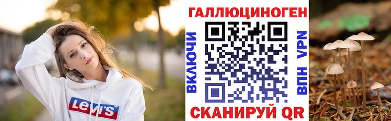 ОМГ ОМГ ТОР  Находка  Галлюциногенные грибы мицелий  даркнет сайт 